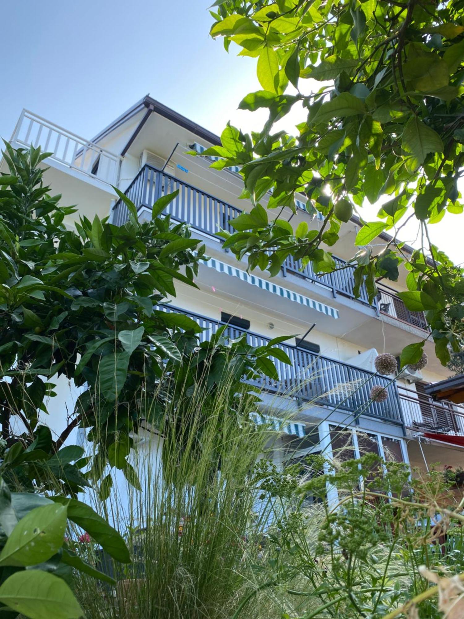 Villa Drazana Gradac  Εξωτερικό φωτογραφία